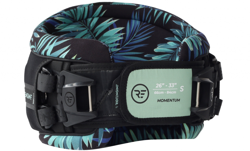 RE_2022_MOMENTUM_FRONTVIEW_PALM.jpg