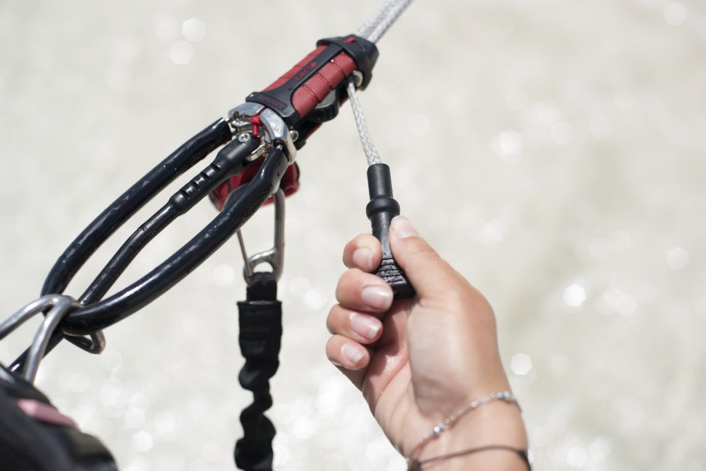 Compstick w/ Guardian.jpg Compstick w/ Guardian.jpg