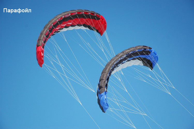 Как выбрать кайт для новичка.jpg