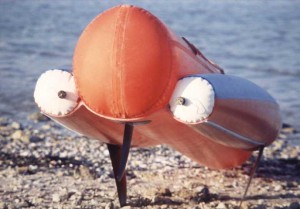 История кайтбординга.jpg