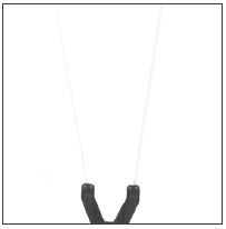 Compstick w/sentinel.jpg