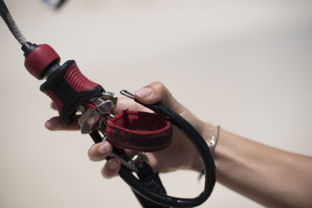 Compstick w/sentinel.jpg