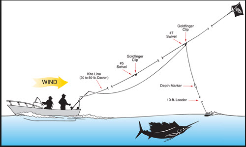 история кайтсерфинга.jpg