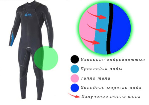 Как правильно выбрать гидрокостюм на кайт ру.jpg