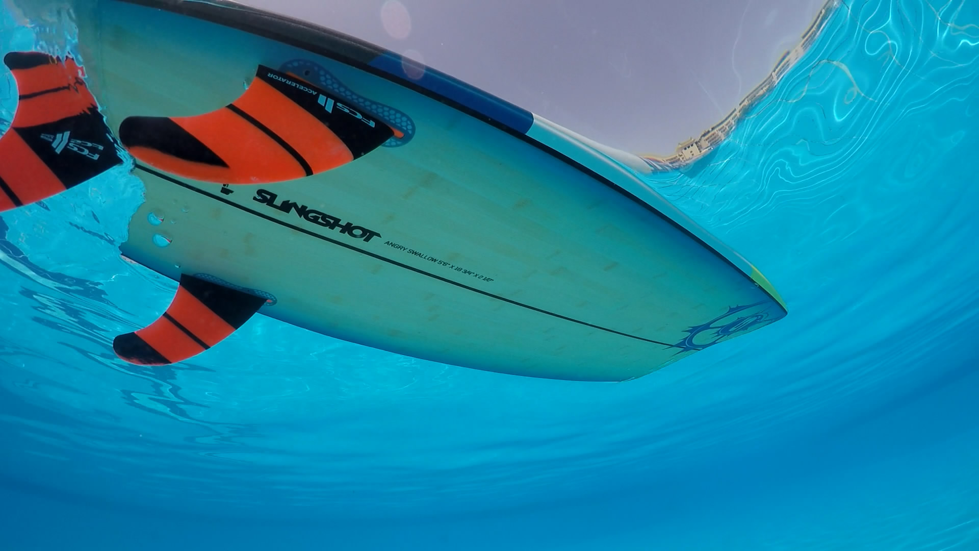 Slingshot Angry Swallow 2016 Slingshot Angry Swallow 2016