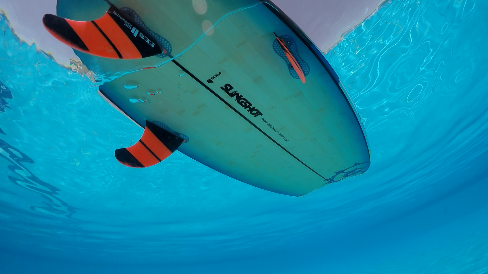 Slingshot Angry Swallow 2016 Slingshot Angry Swallow 2016