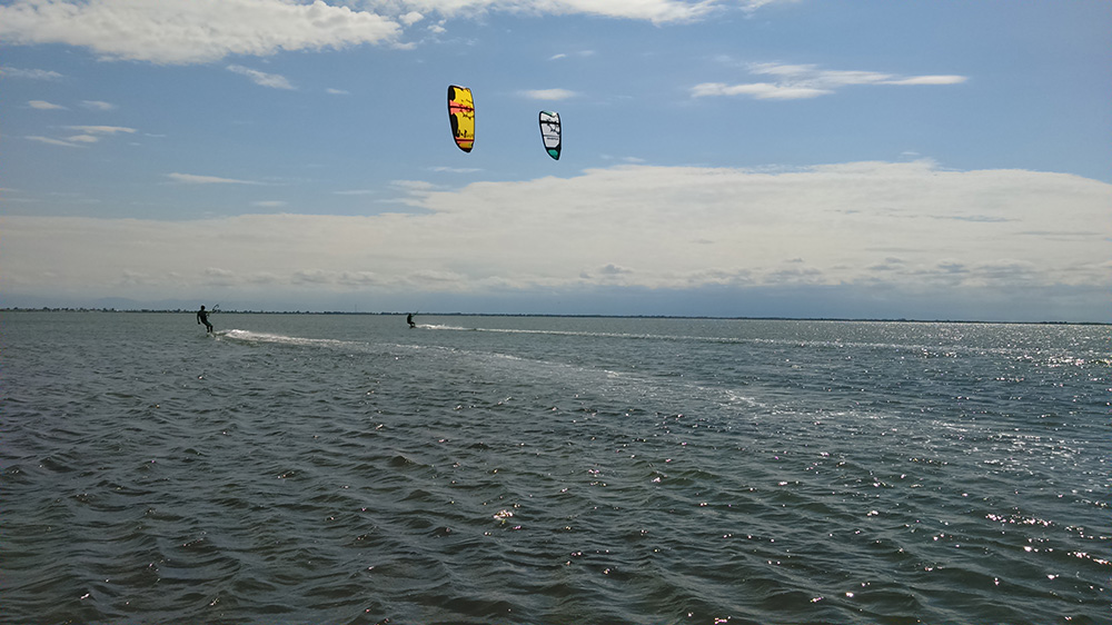 Slingshot Rally 2014