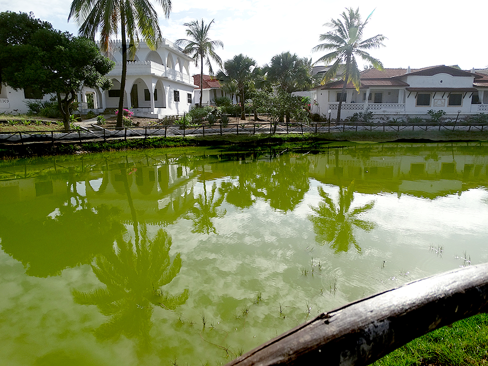 кайтсерфинг в Кении