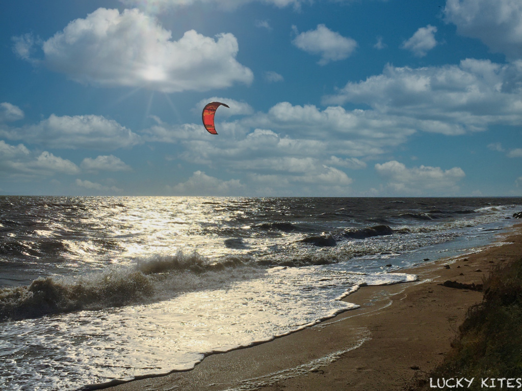 Тесты Кайта Раптор 