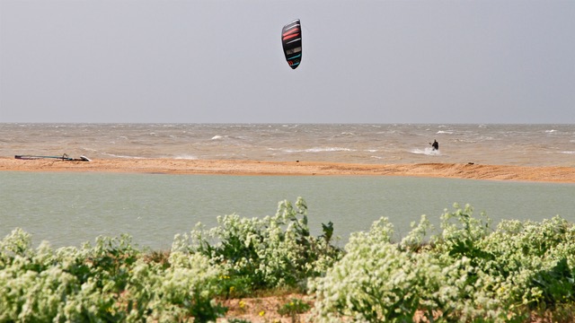 Slingshot Rally 2018