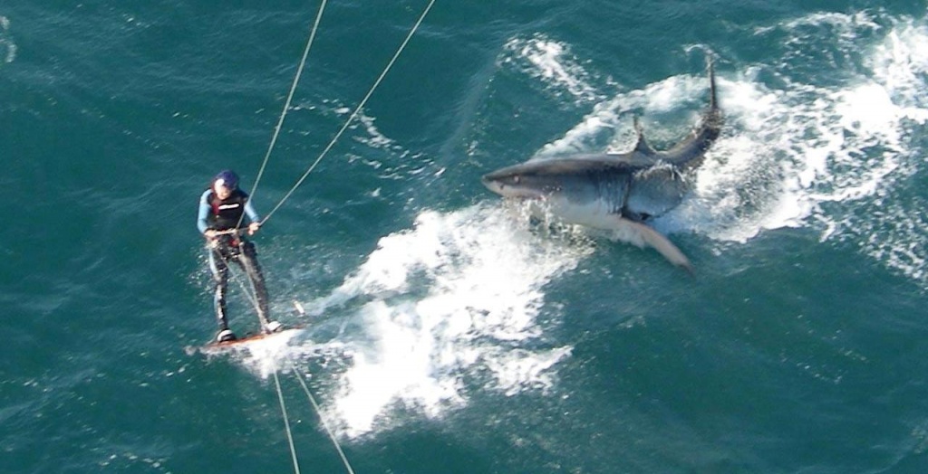 Правила техники безопасности на кайте.jpg