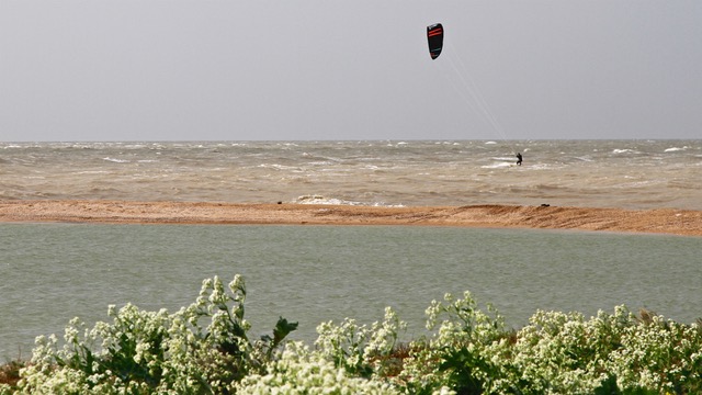 Slingshot Rally 2018