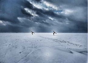 Как быстро освоить вингфойлы зимой Как быстро освоить вингфойлы зимой