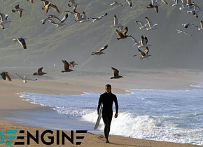 Как выбрать экологически чистый гидрокостюм для кайтсерфинга, вейкбординга, серфинга, SUP Как выбрать экологически чистый гидрокостюм для кайтсерфинга, вейкбординга, серфинга, SUP